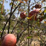 IMG_20200912_133205