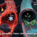 1000255677